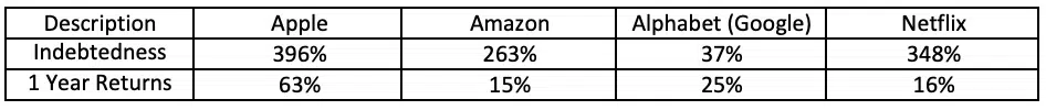 1 year return debt to equity apple